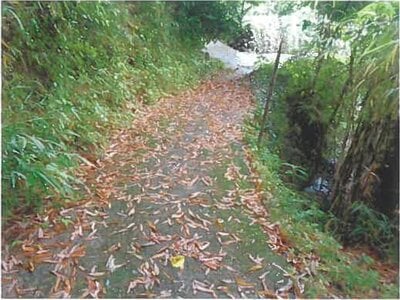 (値下げ) 大分県大分市 大分大学前駅14分 戸建て 211万円の競売物件情報 #9