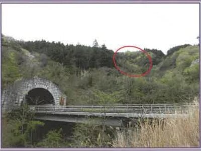 山梨県南巨摩郡身延町 身延駅17分 土地 33万円の競売物件情報 #1