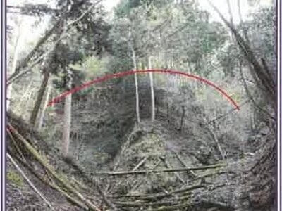 山梨県南巨摩郡身延町 身延駅17分 土地 33万円の競売物件情報 #3