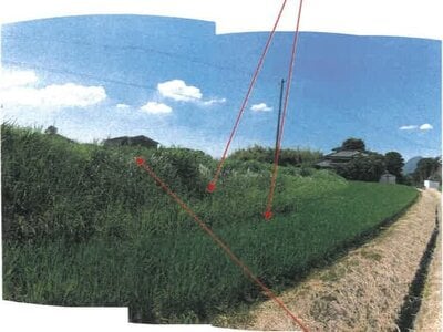 香川県丸亀市 岡田駅20分 農地 20万円の競売物件情報 #4