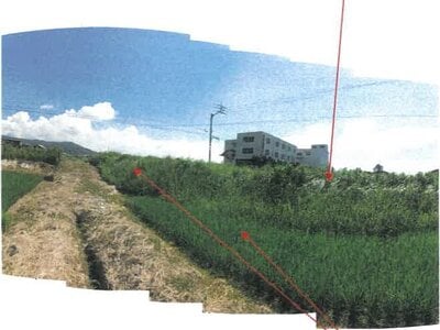 香川県丸亀市 岡田駅20分 農地 20万円の競売物件情報 #5