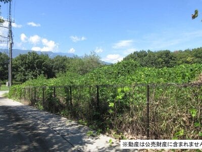 (値下げ) 山梨県韮崎市 韮崎駅13分 土地 130万円の国税庁公売物件情報 #1