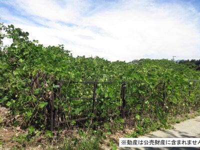(値下げ) 山梨県韮崎市 韮崎駅13分 土地 130万円の国税庁公売物件情報 #2
