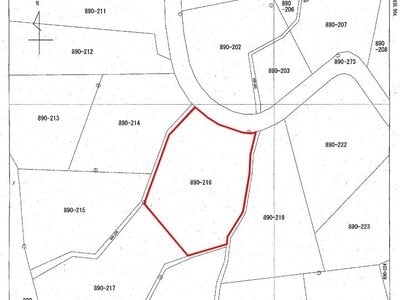 (値下げ) 長野県北佐久郡軽井沢町 中軽井沢駅 土地 190万円の国税庁公売物件情報 #2