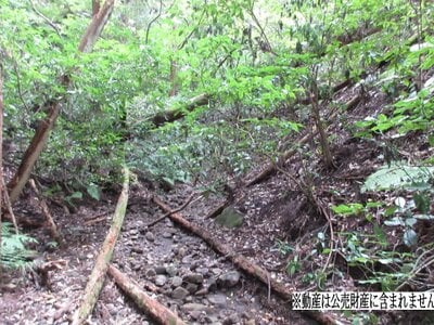 神奈川県三浦郡葉山町 逗子・葉山駅28分 土地 290万円の国税庁公売物件情報 #2
