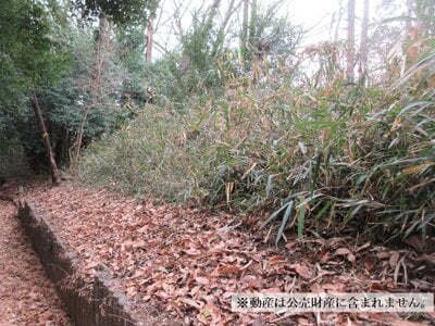 神奈川県横浜市戸塚区 舞岡駅5分 土地 490万円の国税庁公売物件情報 #1