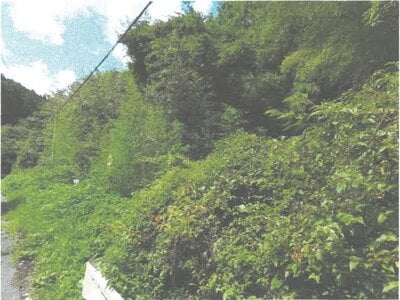 (値下げ) 茨城県常陸大宮市 西金駅 土地 16万円の競売物件情報 #2