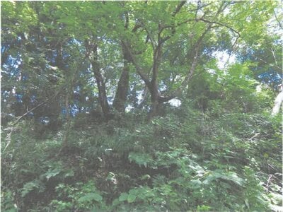 (値下げ) 茨城県常陸大宮市 西金駅 土地 84万円の競売物件情報 #2