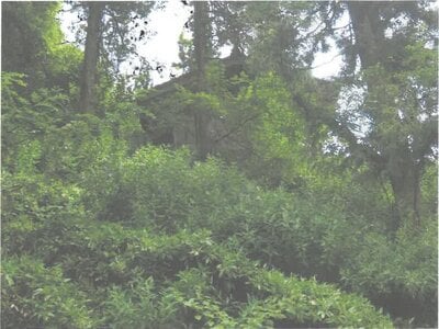 (値下げ) 茨城県常陸大宮市 西金駅 土地 64万円の競売物件情報 #5