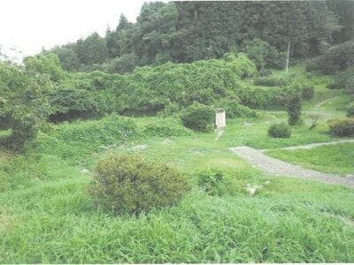 茨城県久慈郡大子町 常陸大子駅 土地 52万円の競売物件情報 #1