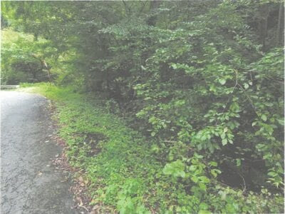 茨城県常陸大宮市 西金駅 土地 2万円の競売物件情報 #1