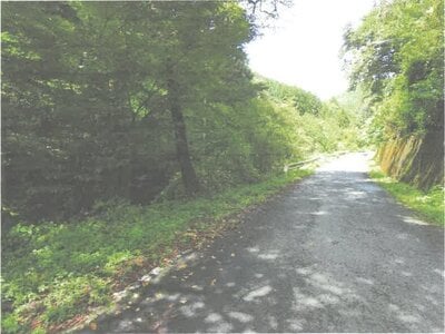 茨城県常陸大宮市 西金駅 土地 2万円の競売物件情報 #2