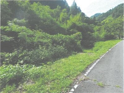 茨城県常陸大宮市 西金駅 土地 1万円の競売物件情報 #1