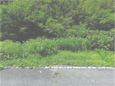 茨城県常陸大宮市 西金駅 土地 1万円の競売物件情報 #2