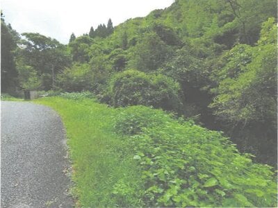 茨城県常陸大宮市 西金駅 土地 9万円の競売物件情報 #2