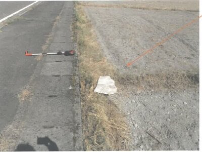 福井県越前市 越前たけふ駅23分 農地 6万円の競売物件情報 #2