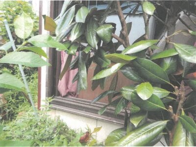 茨城県つくば市 みどりの駅22分 戸建て 441万円の競売物件情報 #5