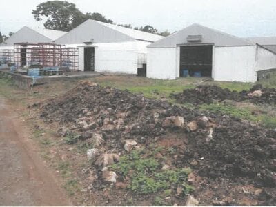 茨城県稲敷郡阿見町 ひたち野うしく駅 農地 251万円の競売物件情報 #6