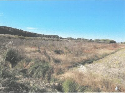 茨城県石岡市 高浜駅 農地 129万円の競売物件情報 #2