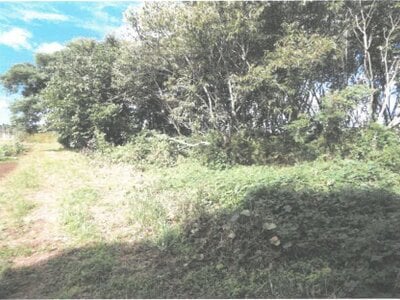 茨城県石岡市 高浜駅 農地 24万円の競売物件情報 #5