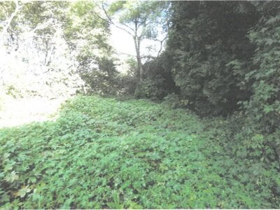 茨城県石岡市 高浜駅 農地 24万円の競売物件情報 #6