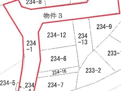 新潟県新潟市東区 東新潟駅28分 戸建て 662万円の競売物件情報 #8