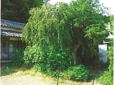 (値下げ) 静岡県三島市 長泉なめり駅20分 戸建て 790万円の競売物件情報 #6