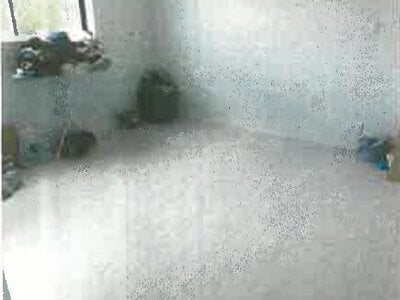 滋賀県東近江市 朝日大塚駅 戸建て 1,376万円の競売物件情報 #17