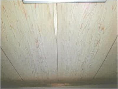 滋賀県彦根市 南彦根駅13分 戸建て 2,470万円の競売物件情報 #22