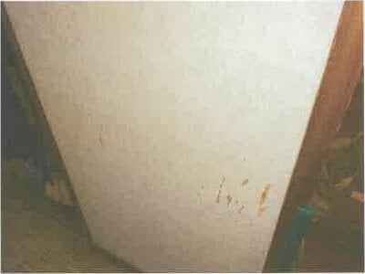 滋賀県彦根市 南彦根駅13分 戸建て 2,470万円の競売物件情報 #26