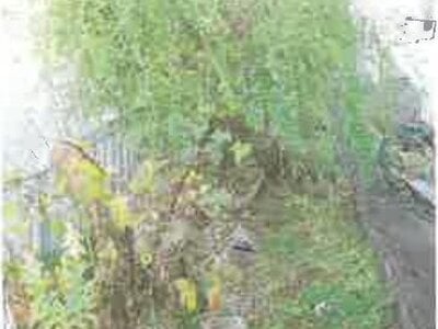 滋賀県彦根市 南彦根駅13分 戸建て 2,470万円の競売物件情報 #9