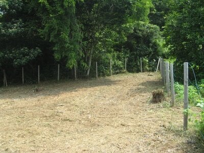 神奈川県相模原市緑区 相模湖駅 土地 707万円の国有財産売却物件情報 #3