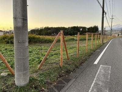 栃木県那須塩原市 黒磯駅26分 農地 3,830万円の国有財産売却物件情報 #1