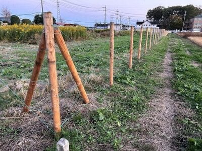 栃木県那須塩原市 黒磯駅26分 農地 3,830万円の国有財産売却物件情報 #4