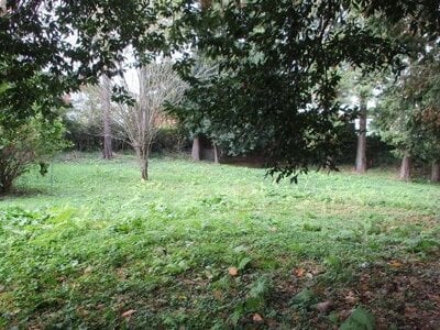 栃木県芳賀郡益子町 益子駅15分 土地 58万円の国有財産売却物件情報 #4