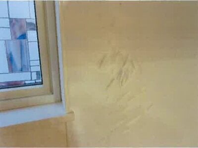 福島県福島市 笹木野駅11分 戸建て 1,416万円の競売物件情報 #11