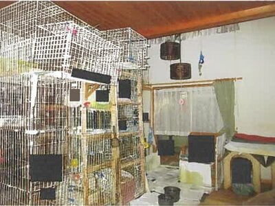 福島県伊達市 保原駅5分 戸建て 895万円の競売物件情報 #10