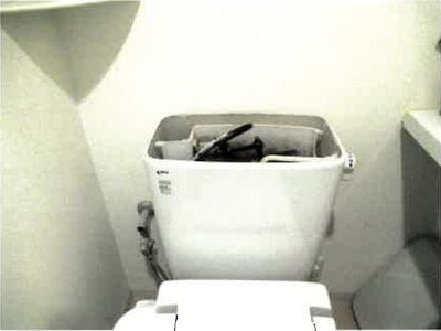 埼玉県蓮田市 蓮田駅13分 マンション「コットンアイランドアルテ」1,258万円の競売物件情報 #3