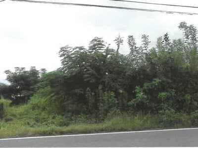 (値下げ) 埼玉県児玉郡神川町 丹荘駅22分 農地 47万円の競売物件情報 #1