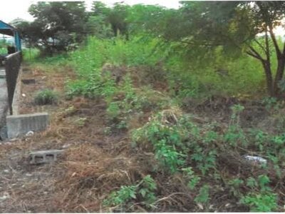 (値下げ) 埼玉県児玉郡神川町 丹荘駅22分 農地 47万円の競売物件情報 #2