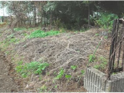 (値下げ) 埼玉県児玉郡神川町 丹荘駅22分 農地 47万円の競売物件情報 #4