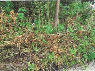 (値下げ) 埼玉県児玉郡神川町 丹荘駅22分 農地 47万円の競売物件情報 #6