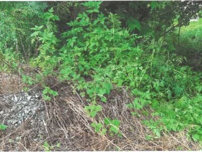 (値下げ) 埼玉県児玉郡神川町 丹荘駅22分 農地 47万円の競売物件情報 #7