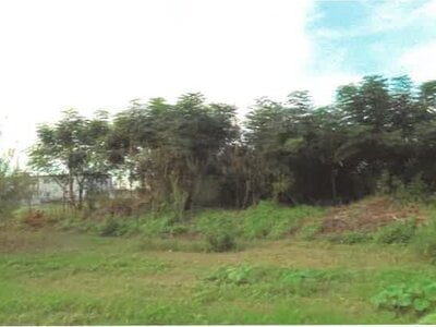 (値下げ) 埼玉県児玉郡神川町 丹荘駅22分 農地 47万円の競売物件情報 #8