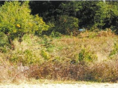 埼玉県比企郡ときがわ町 明覚駅13分 農地 10万円の競売物件情報 #3