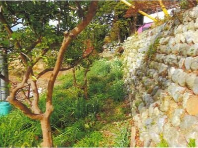 埼玉県比企郡ときがわ町 明覚駅13分 農地 10万円の競売物件情報 #5