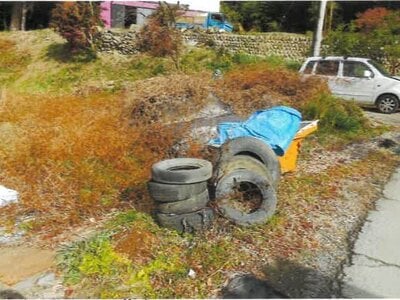 埼玉県比企郡ときがわ町 明覚駅13分 農地 10万円の競売物件情報 #6