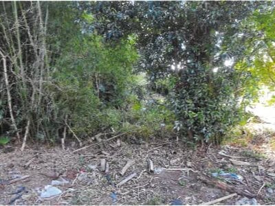 (値下げ) 埼玉県本庄市 本庄駅 戸建て 418万円の競売物件情報 #10