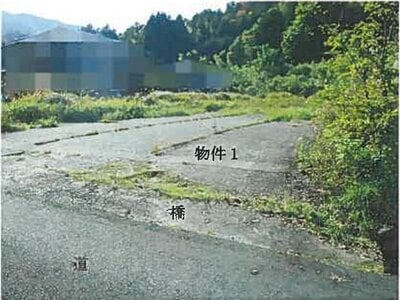 鳥取県八頭郡八頭町 八東駅8分 土地 446万円の競売物件情報 #2