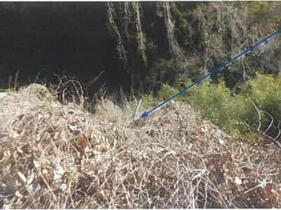 (値下げ) 山口県大島郡周防大島町 大畠駅 土地 19万円の競売物件情報 #3